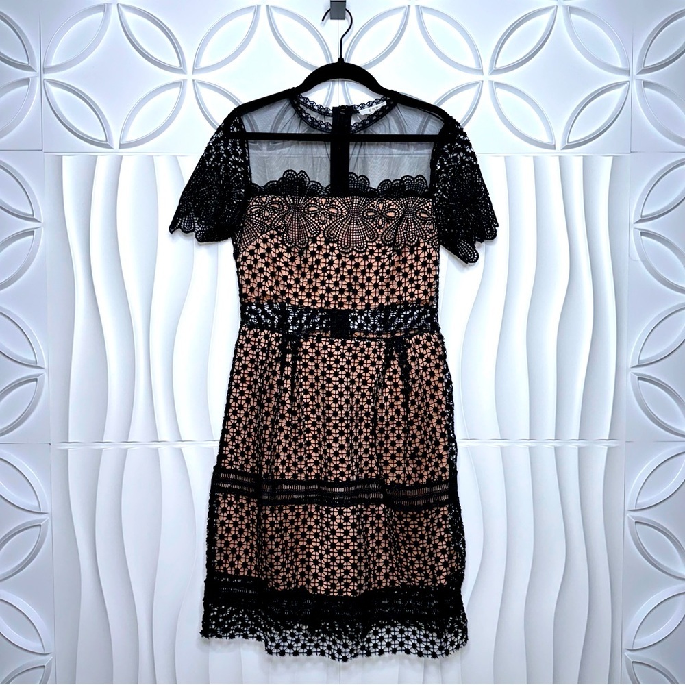 F&P Lace Sheer Embroidered Dress